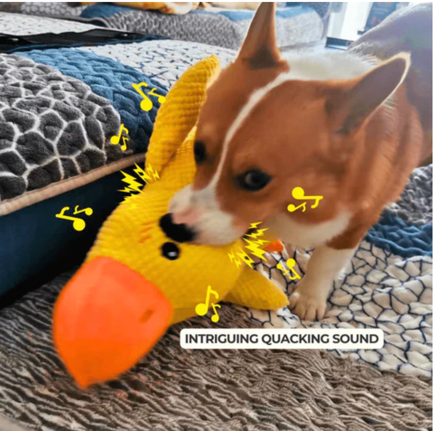 Joyful Quacky Dog Companion Duck Toy