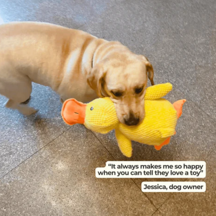 Joyful Quacky Dog Companion Duck Toy