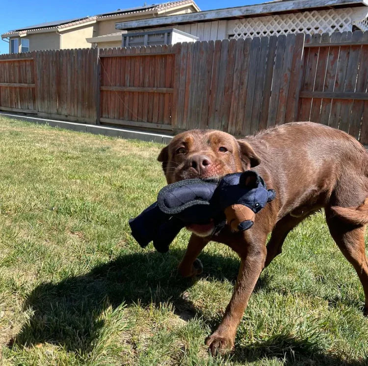 ToughBear Indestructible Chew Companion