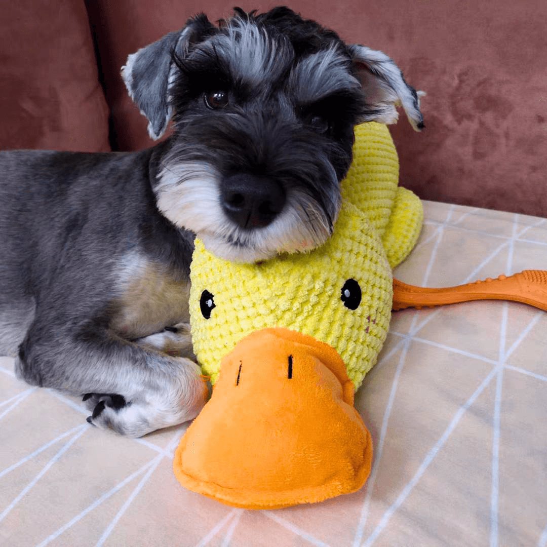 Joyful Quacky Dog Companion Duck Toy